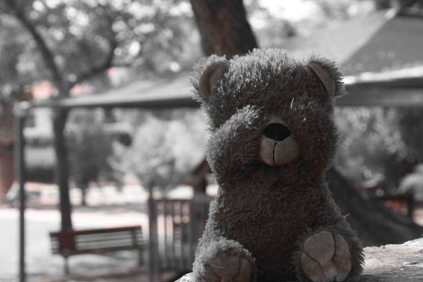 istock Play hide and seek with a teddy bear 980651976