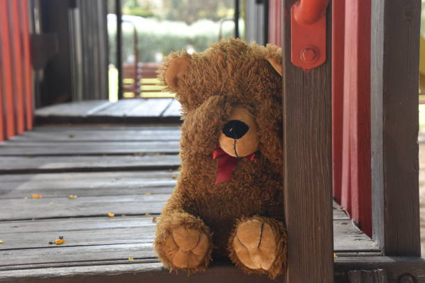 Play hide and seek with a teddy bear