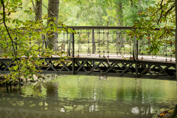 A bridge over a river in the park stock photo