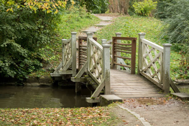 istock A bridge over a river in the park 980660142