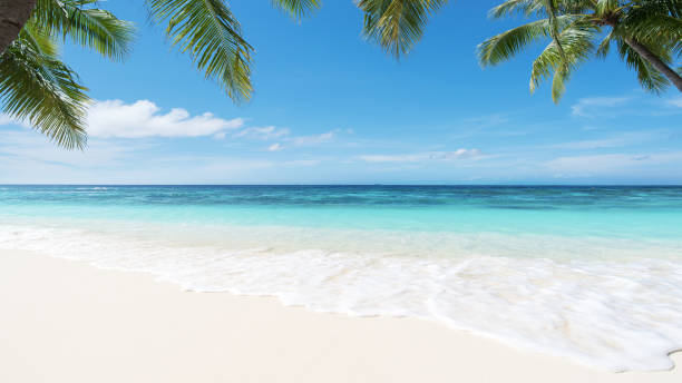 istock Summer Tropical Beach And Sea 980660720