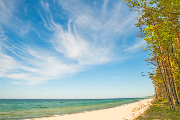 ポーランドのバルト海で、ビーチの orzechowo ,poland - surf turf ストックフォトと画像