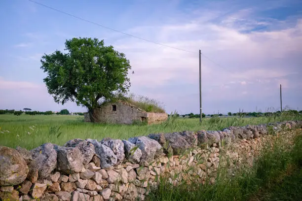Countryside of Puglia region. Italy