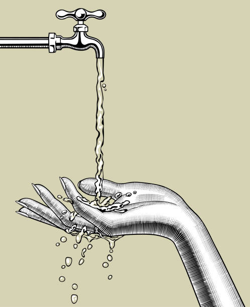 самка ладони под потоком воды, бегущей вниз из-под крана - faucet stream water bathroom stock illustrations