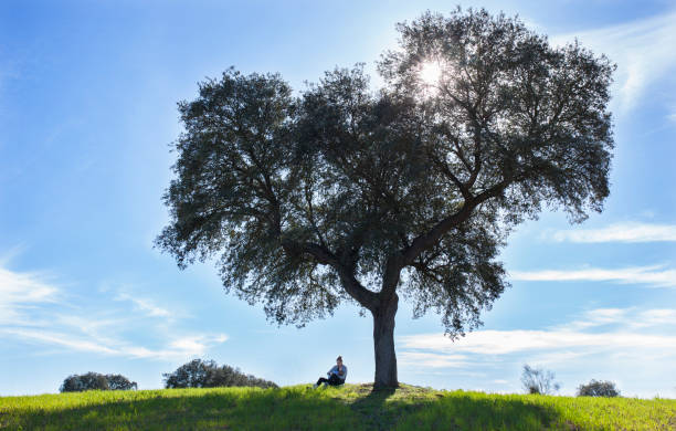 istock Mother breastfeeding toddler boy in nature 980701614