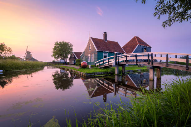 istock Traditional cheese farm over at the zaanse schans 980701618