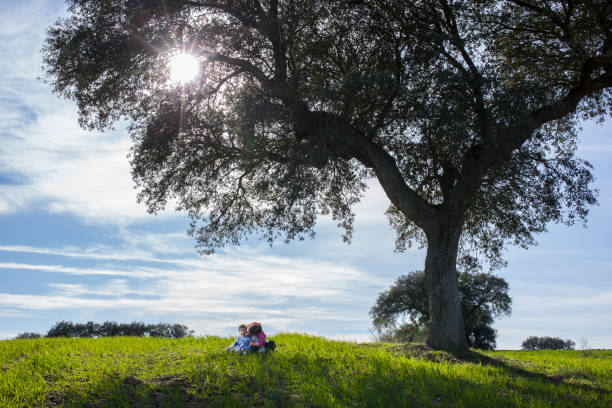 istock Sister kissing her little brother under acorn tree 980701644