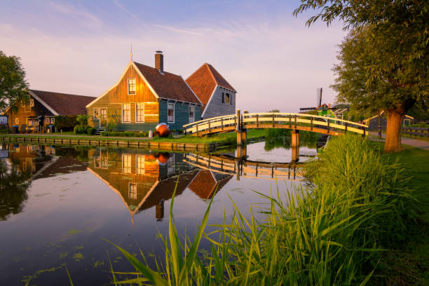 istock Traditional cheese farm over at the zaanse schans 980702024