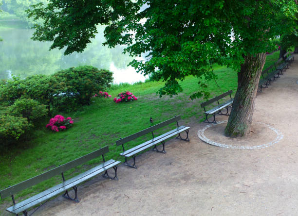 istock Benches in the park. Park in the morning. 980710872