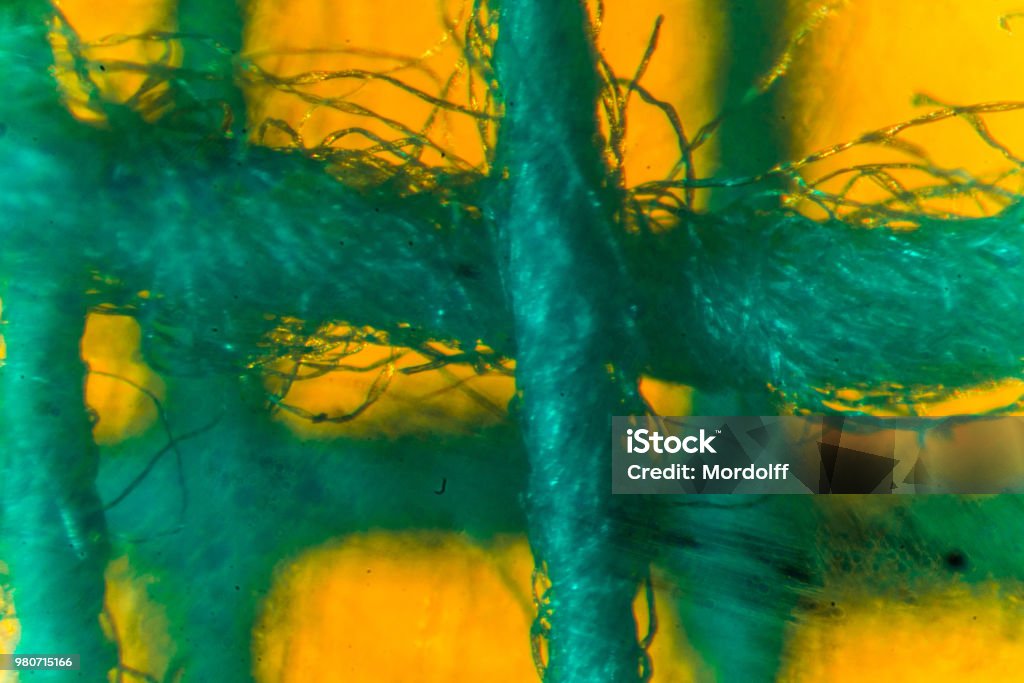 Textile Magnification Wicker Gauze Fabric Structure Magnification Through Microscope Stock ...
