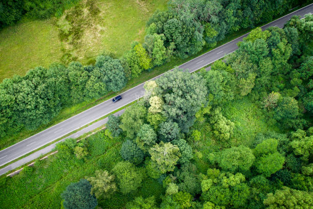 istock Road through fields and woodland 980716240