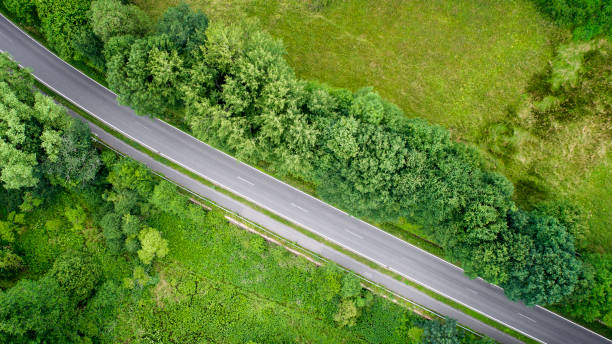istock Road through fields and woodland 980716296