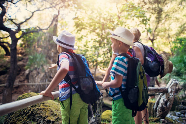 istock Haking family looking at waterfall in mountains 980717042