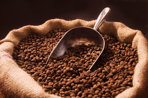 A shiny coffee scoop resting in a sack full of medium roasted beans. More coffee photos: