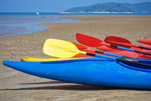 Kayaks parked on a tropical beach.