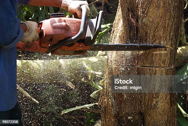 Kettensäge In Den Regenwald Stockfoto und mehr Bilder von Bauholz - Bauholz, Baum, Beschädigt