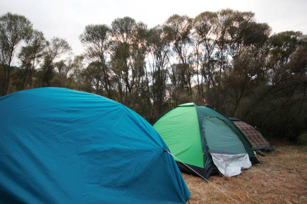 istock tent camp in the nature 980725004