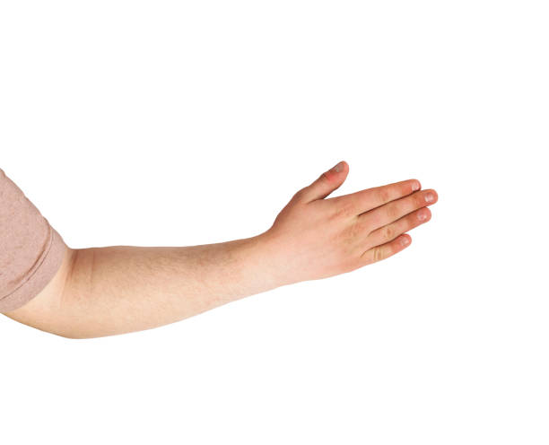 istock hands, young men, finger, business, education, isolated, white background. copy space 980729174