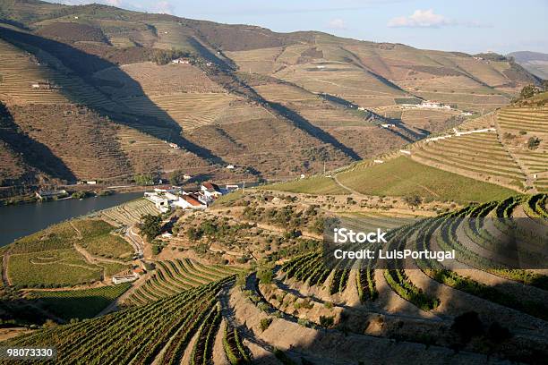 Valle Del Douro - Fotografie stock e altre immagini di Agricoltura - Agricoltura, Ambientazione esterna, Azienda vinicola