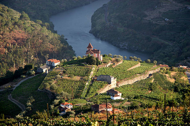 Beautiful aerial landscape shot of Douro Valley stock photo