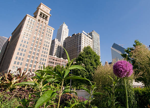 istock Chicago skyline and garden 98074402