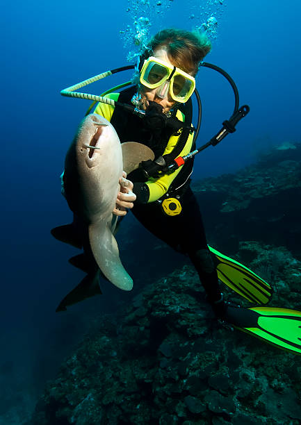 istock Diver with nurse shark 98074673