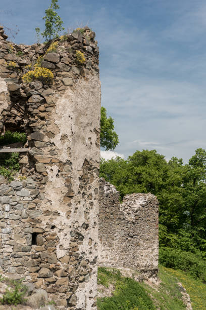 istock Ruins of Saris castle 980748558