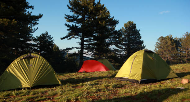 istock tent camp in the nature 980749228