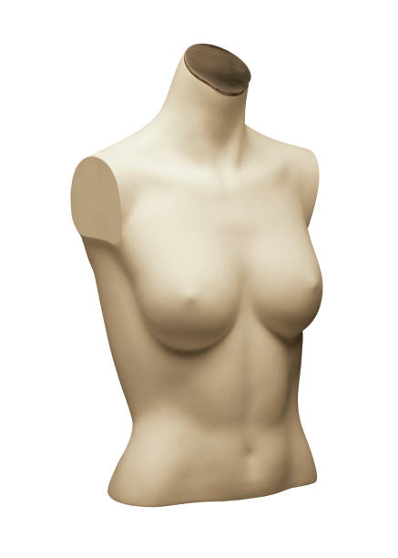 istock MANNEQUIN OF FEMALE TORSO 980754514