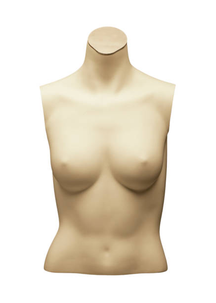 istock MANNEQUIN OF FEMALE TORSO 980754626