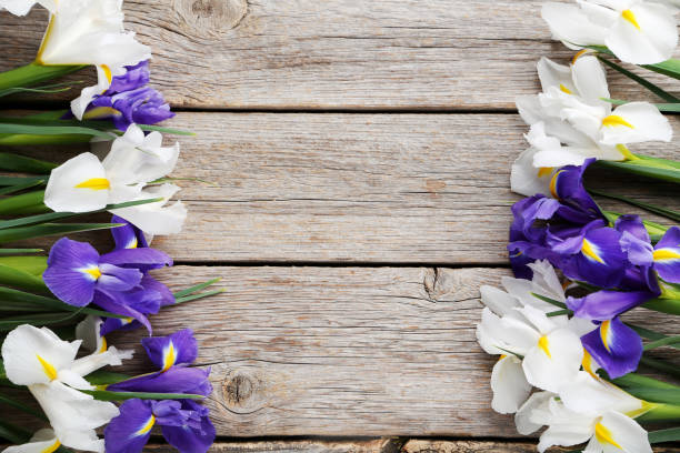 istock Bouquet of iris flowers on grey wooden table 980755340