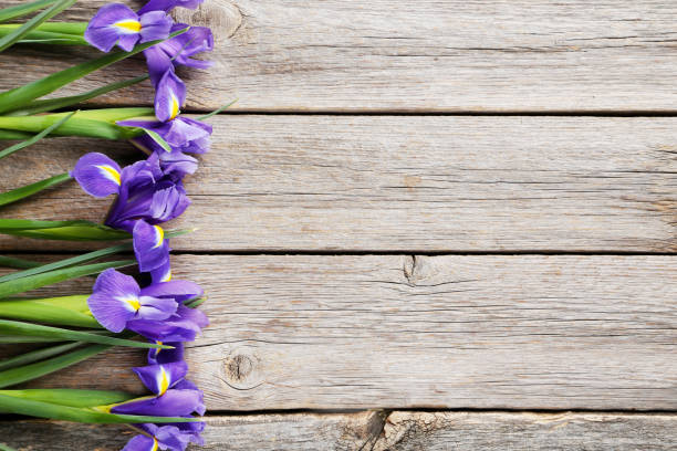 istock Bouquet of iris flowers on grey wooden table 980755726