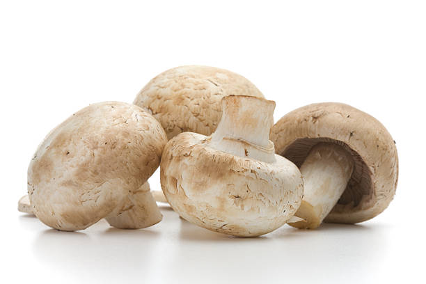 istock Fresh-cut mushrooms champignon 98075919