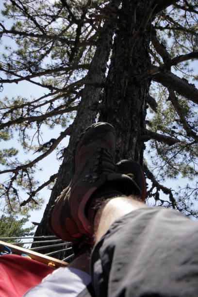 istock Man relaxing in the hammock 980771194