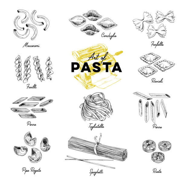Beautiful vector hand drawn pasta Illustration. Beautiful vector hand drawn pasta Illustrations. Detailed retro style images. Vintage sketch elements for labels, packaging and cards design. Modern background. pasta stock illustrations