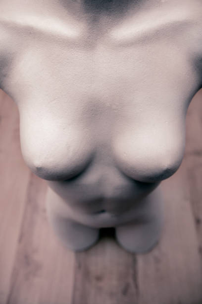 TORSO OF NUDE FEMALE MANNEQUIN ON WOODEN FLOOR