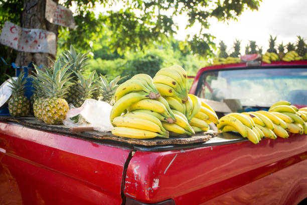 Fruit shop on the roadside in Jamaica
