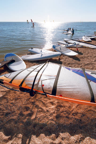 istock Windsurf boards on the sand at the beach. Windsurfing and active lifestyle 980797796