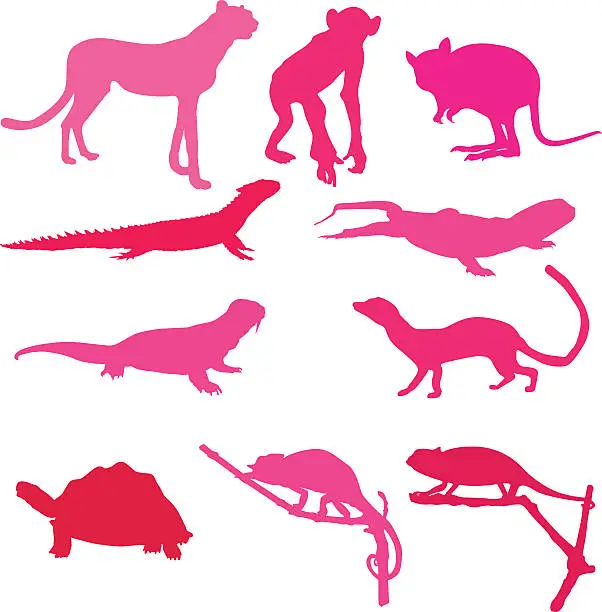 Vector illustration of Awesome collection of animals
