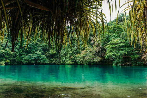 istock Blue lagoon on Jamaica 980803564