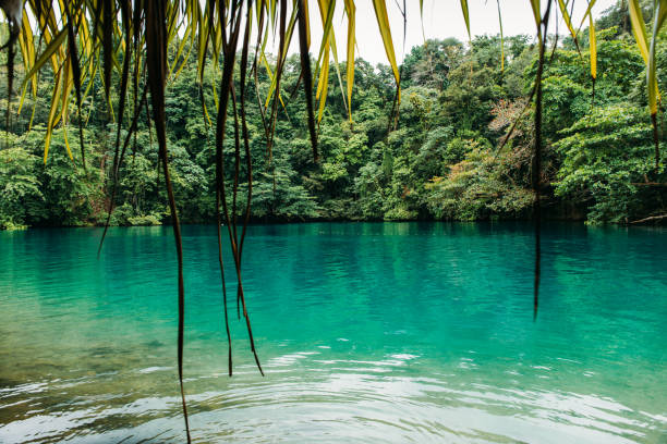 istock Blue lagoon on Jamaica 980803580