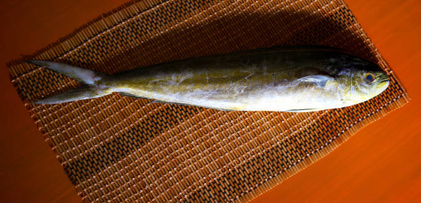 frischen fisch dorado - coryphaena stock-fotos und bilder