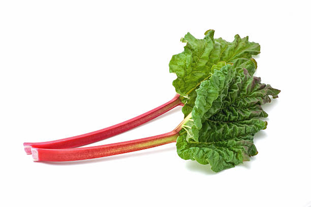 Rhubarb  rhubarb stock pictures, royalty-free photos & images