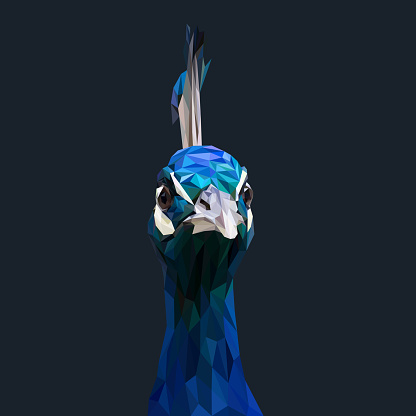 Peafowl low poly design. Triangle vector illustration.