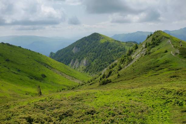 istock Ciucas Mountains in Romania. 980813236