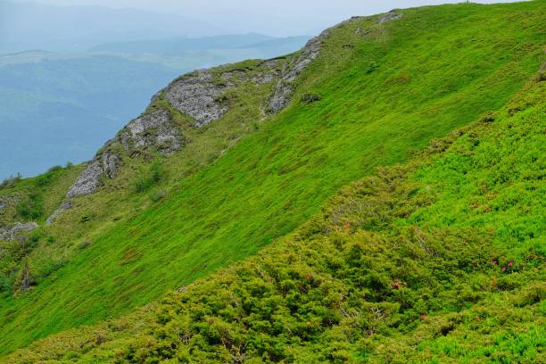 istock Ciucas Mountains in Romania. 980814030