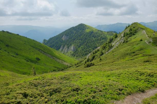 istock Ciucas Mountains in Romania. 980814210