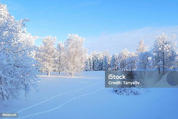 Winter Morning Stock Photo - Download Image Now - Blue, Cold Temperature, Color Image