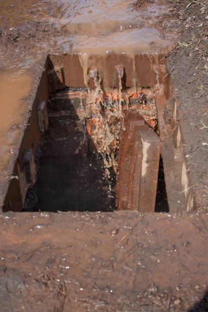 istock Broken storm drain. Dirty water and garbage get into the gutter. 980815450