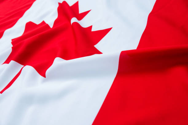 istock Close up of Canadian flag 980819868